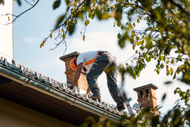 Roof Waterproofing Services in West Bishop, CA