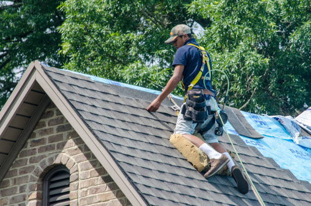 Roof Waterproofing Services in West Bishop, CA